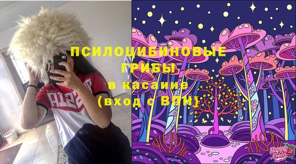 герыч Дмитриев