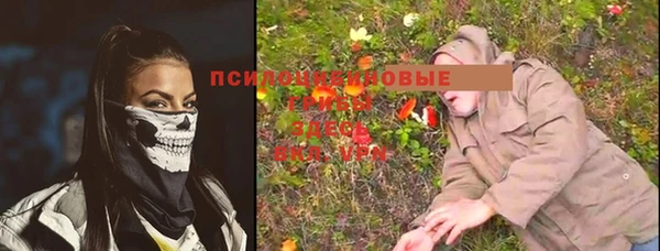 mdma Дмитровск