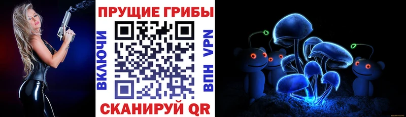 Галлюциногенные грибы Psilocybine cubensis  Купить где  Лодейное Поле 